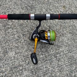 タコは気まぐれ　9