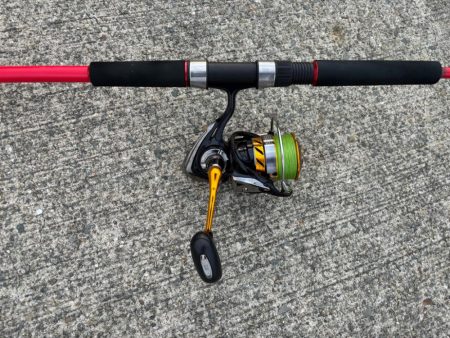 タコは気まぐれ　9