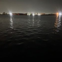 人生初タコ!?🐙