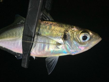 A地点〜B地点へ、ランガン🎣