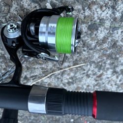 タコは気まぐれ 2