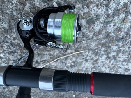 タコは気まぐれ 2