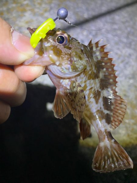 ドン引きする程の激渋