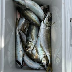 出勤時間遅め( ・∇・)