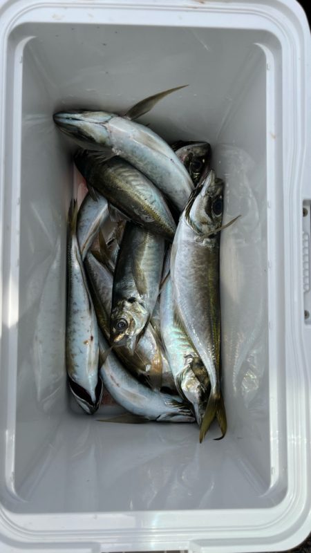 出勤時間遅め( ・∇・)