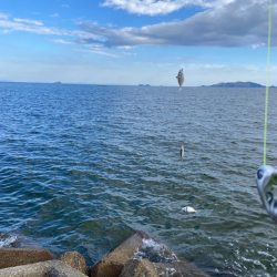 シロギスタの即日リベンジ