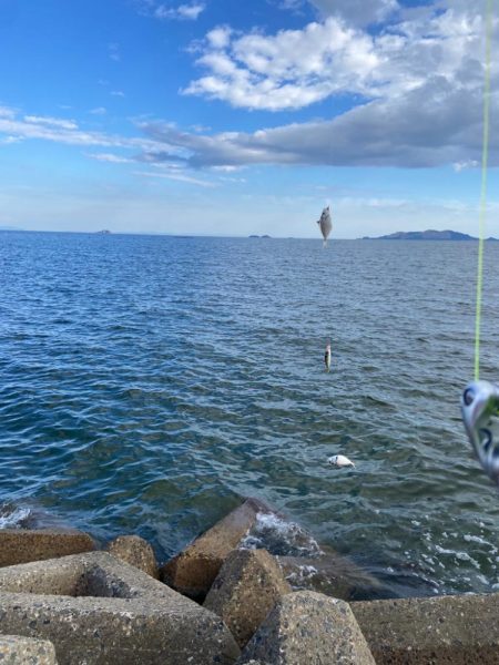 シロギスタの即日リベンジ