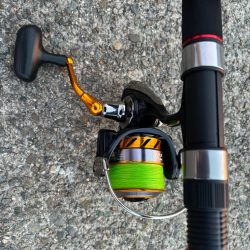 タコは気まぐれ 4