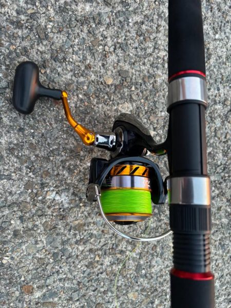 タコは気まぐれ 4