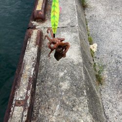 ⭐️サイズアップ求めて