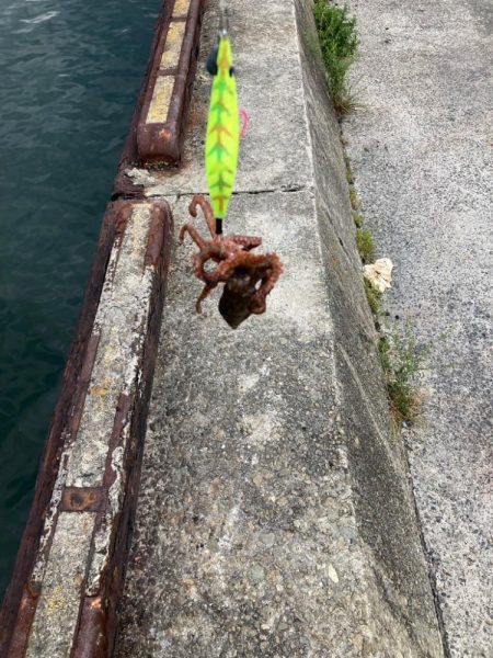 ⭐️サイズアップ求めて