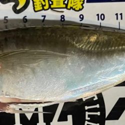 ナイトアジング