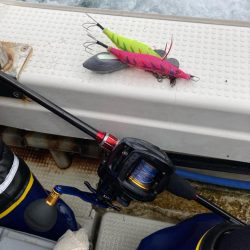 型が揃ってきました