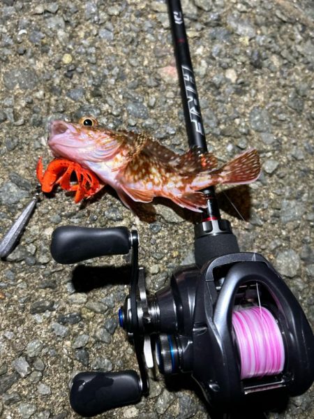 ロックフィッシング