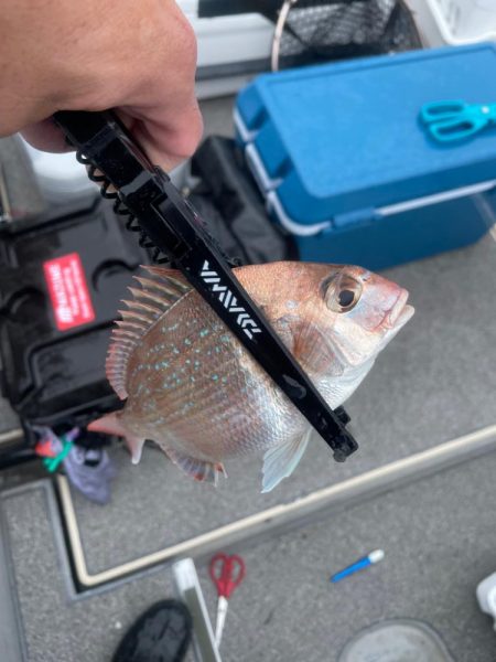 鯛ラバ　バチコン