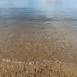 朝マヅメハクパターン