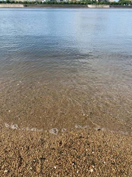 朝マヅメハクパターン