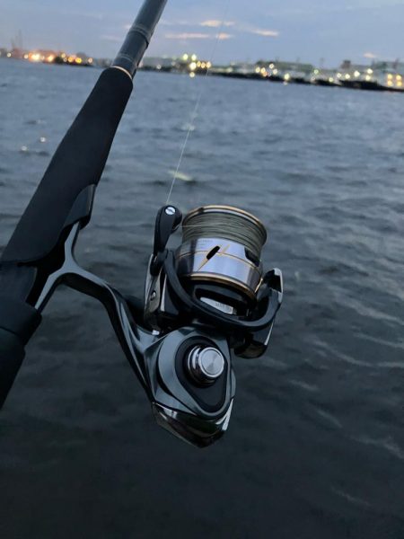 こんな所で甲イカ⁉︎