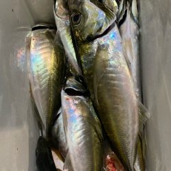 暑すぎ注意|(￣3￣)|