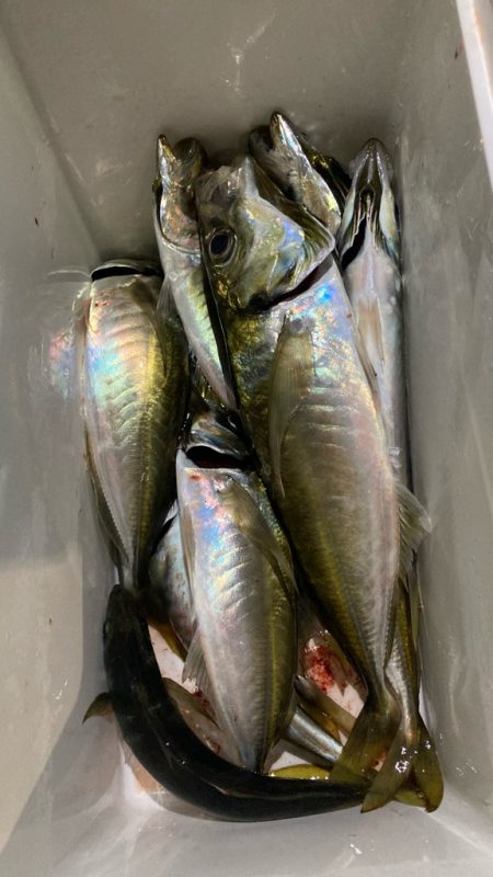 暑すぎ注意|(￣3￣)|