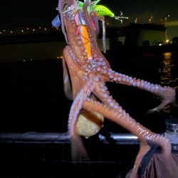 久々に釣れました