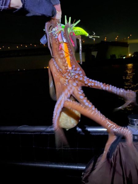 久々に釣れました