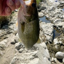 暑い中頑張った！！