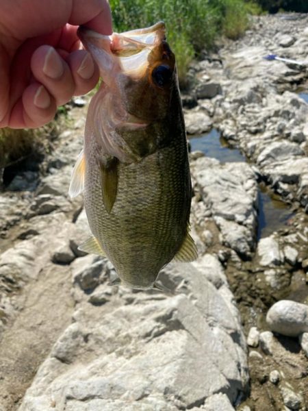 暑い中頑張った！！