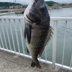 もう少しで大台