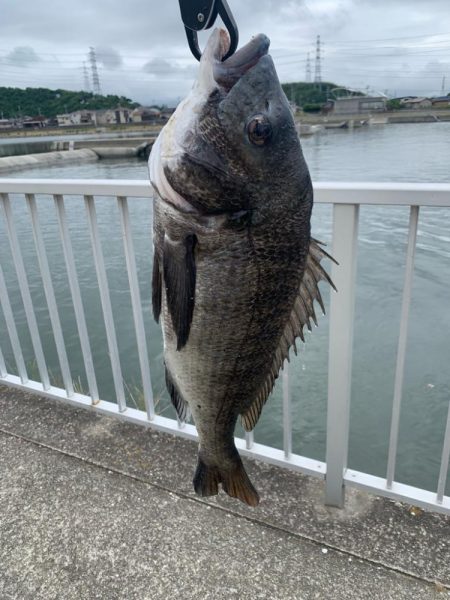 もう少しで大台