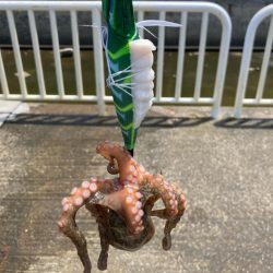 ⭐️擦られすぎ