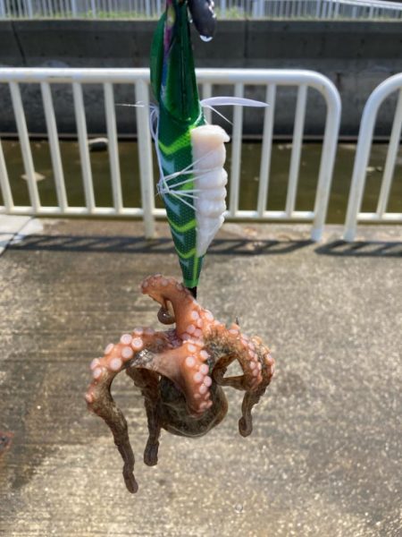 ⭐️擦られすぎ