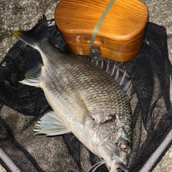 ヘチってきました