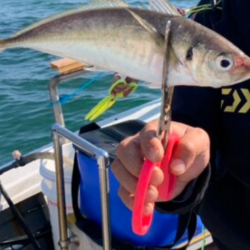 斎藤丸さんで昼アジ便