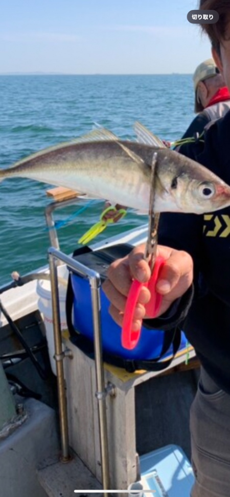 斎藤丸さんで昼アジ便