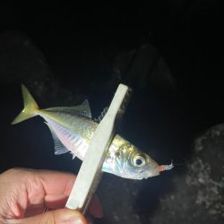 地底湖から覗く目