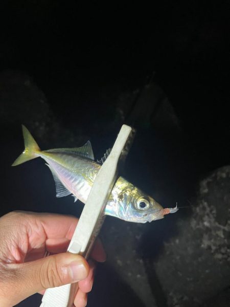 地底湖から覗く目