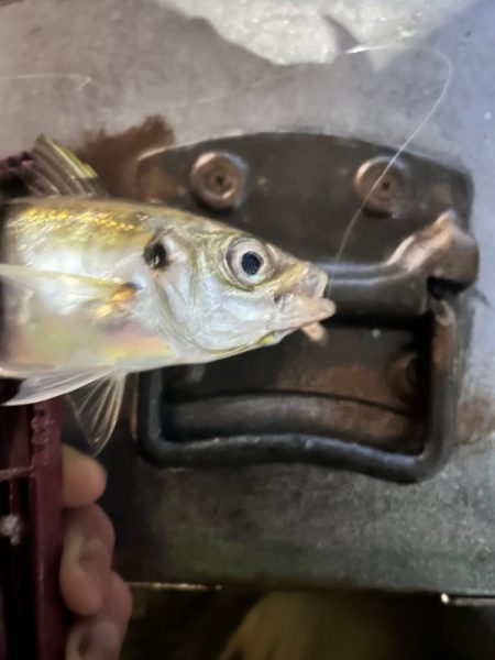 雨の中の表層パターン