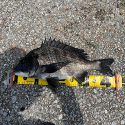 帽子は忘れずに