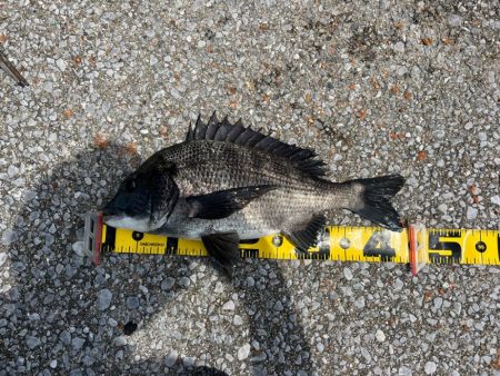 帽子は忘れずに