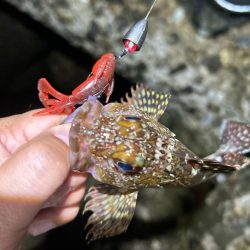 ロックフィッシング