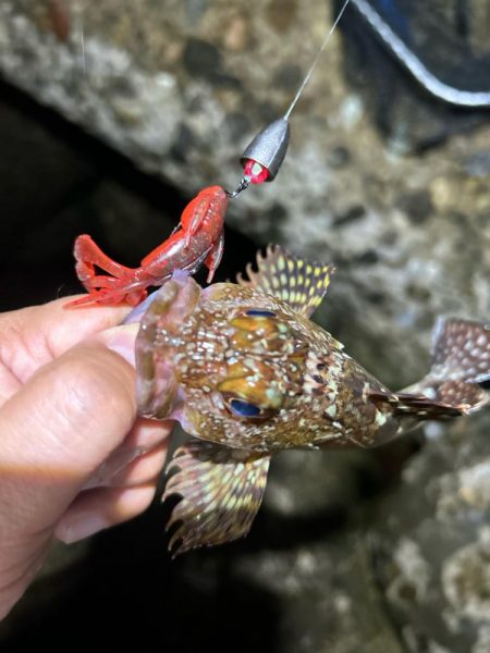 ロックフィッシング