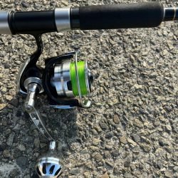 3年振りのタコ！