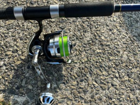 3年振りのタコ！