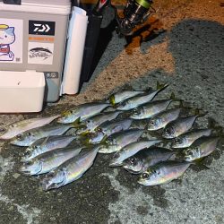 渋いながらもなんとからつ抜け