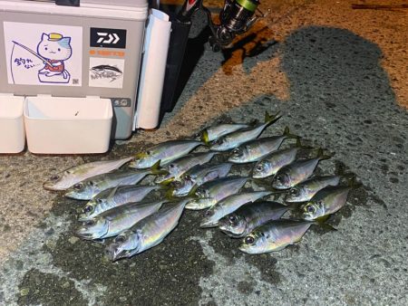 渋いながらもなんとからつ抜け