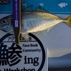 まだまだいけそうですね