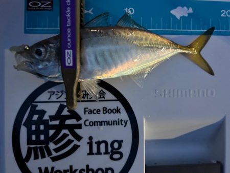 まだまだいけそうですね