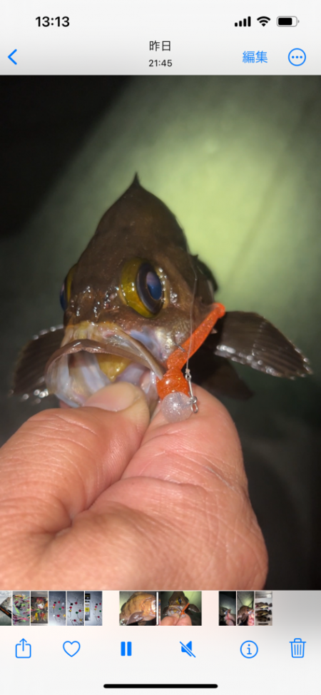 自作グラスジグヘッドのテスト