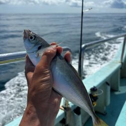 伊勢湾ジギング